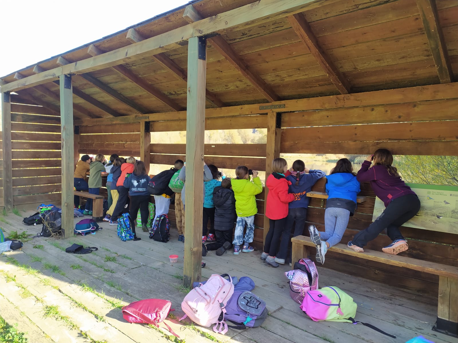 WhatsApp Image 2023-11-14 at 15.54.33 (2)