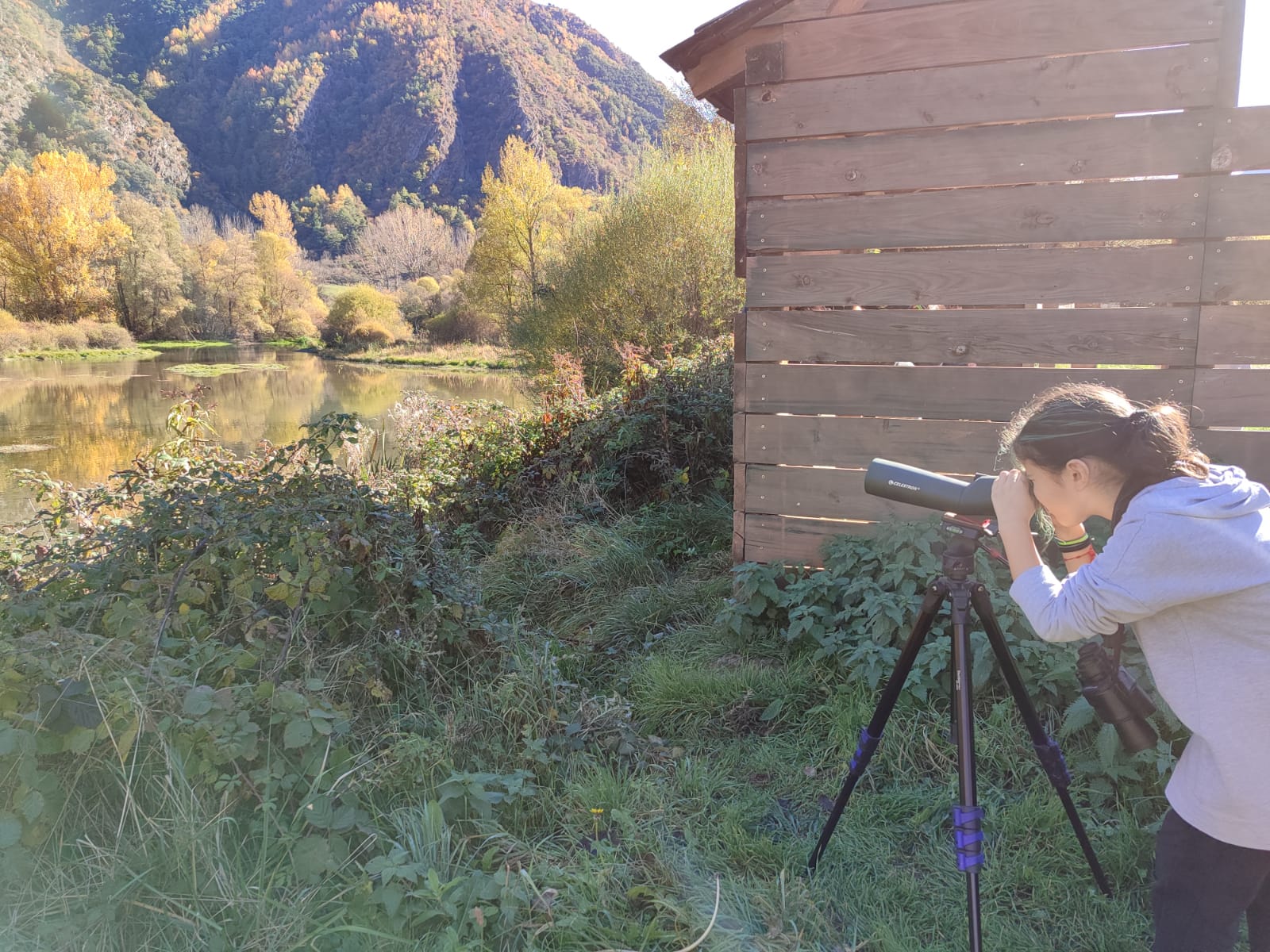 WhatsApp Image 2023-11-14 at 16.07.32