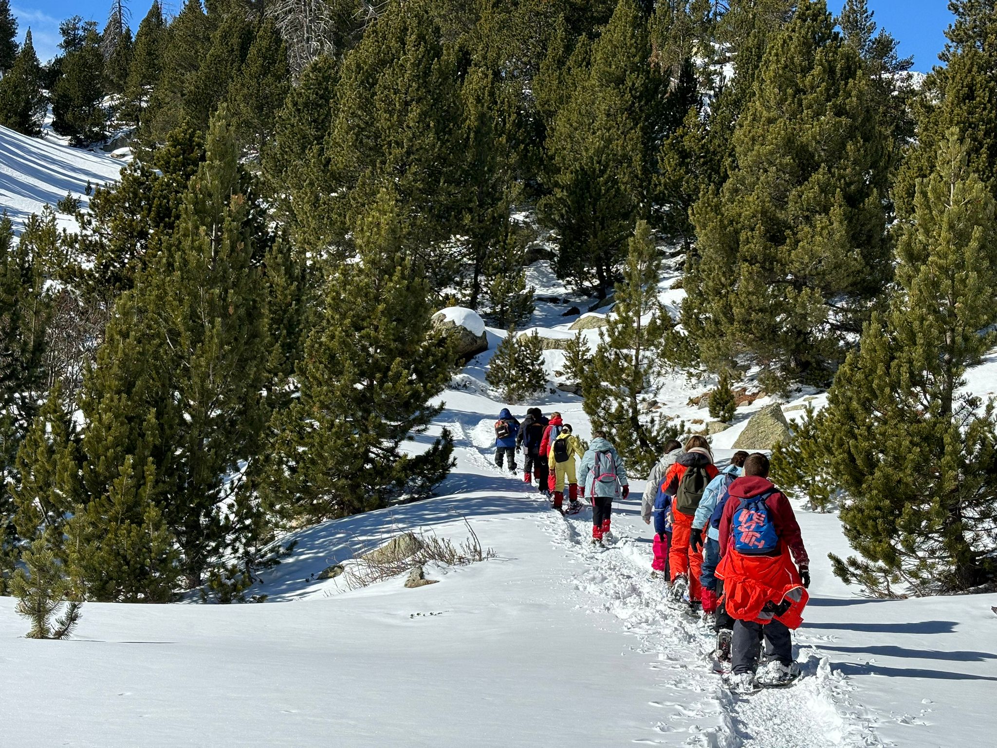 WhatsApp Image 2024-03-01 at 14.42.08 (1)