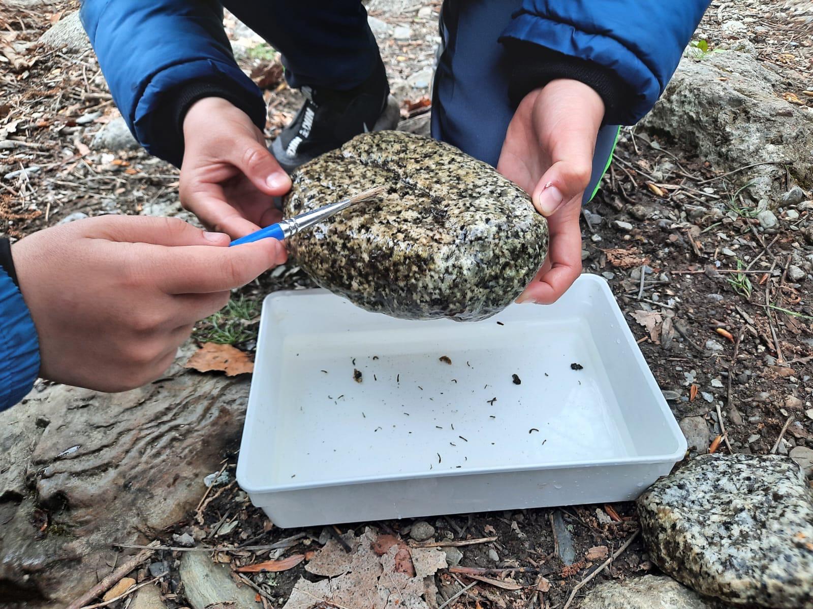 WhatsApp Image 2024-04-05 at 19.28.19 (3)