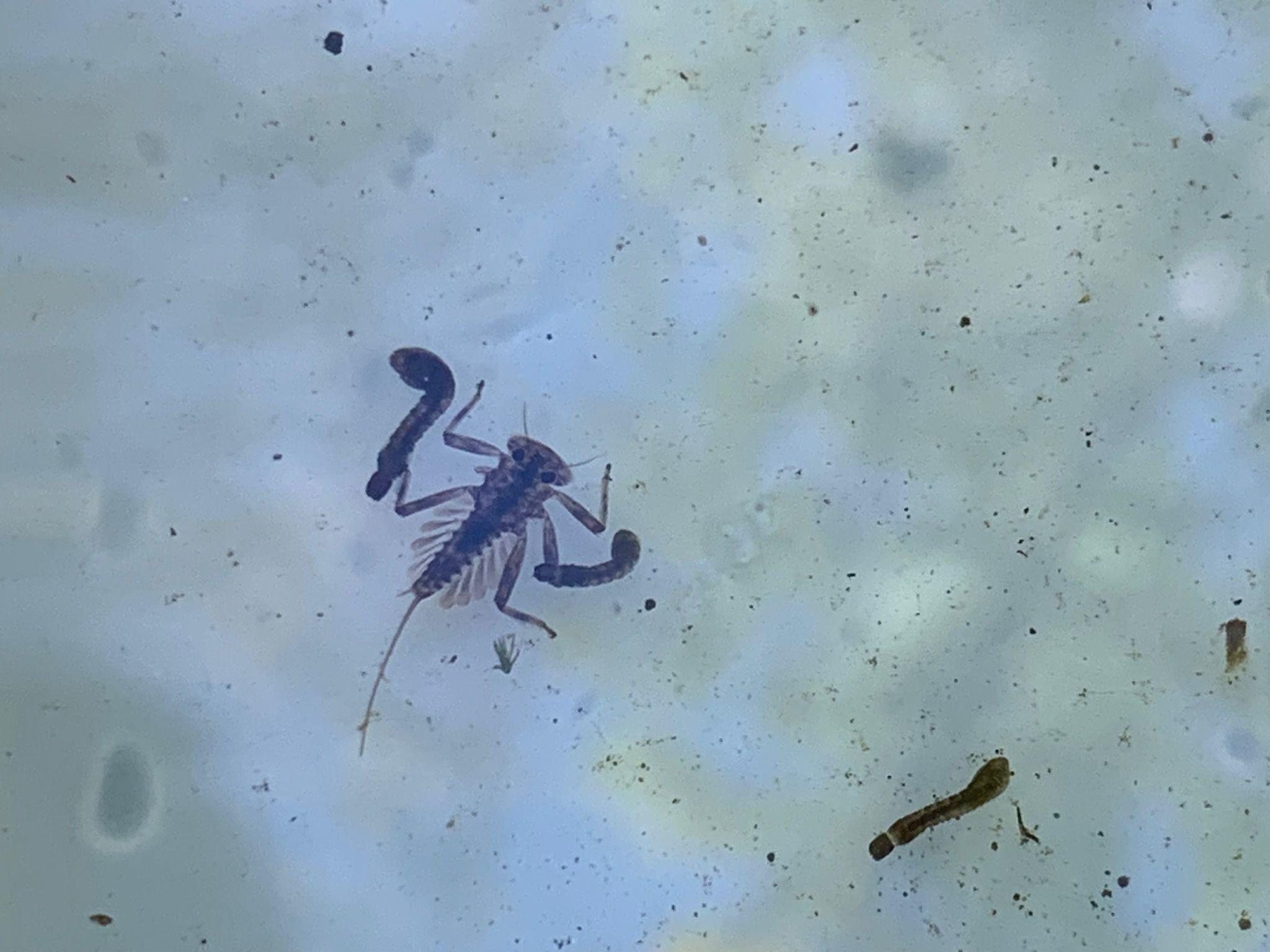 WhatsApp Image 2024-05-15 at 10.27.34 (2)