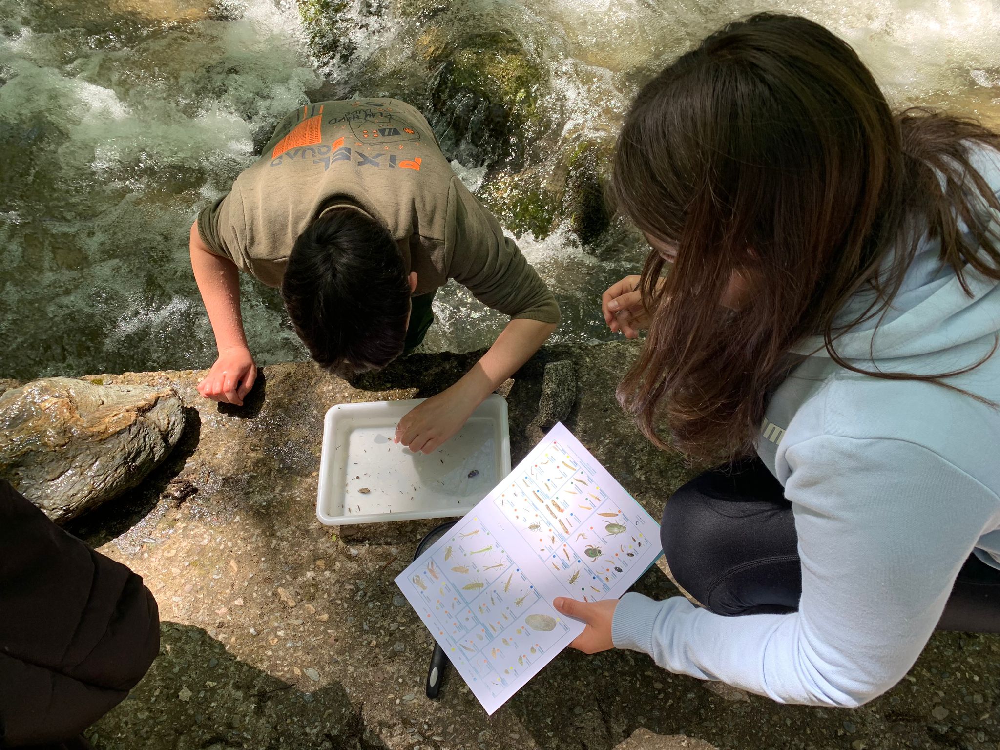 WhatsApp Image 2024-05-15 at 10.27.40 (2)