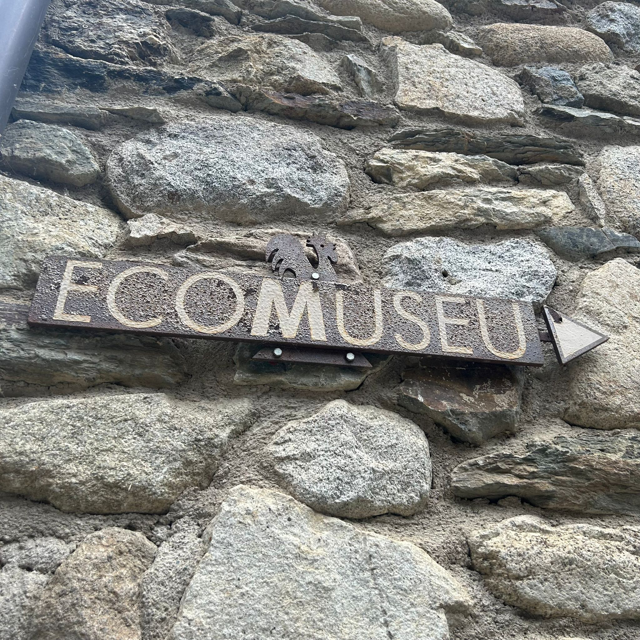 WhatsApp Image 2024-05-17 at 14.50.11 (1)