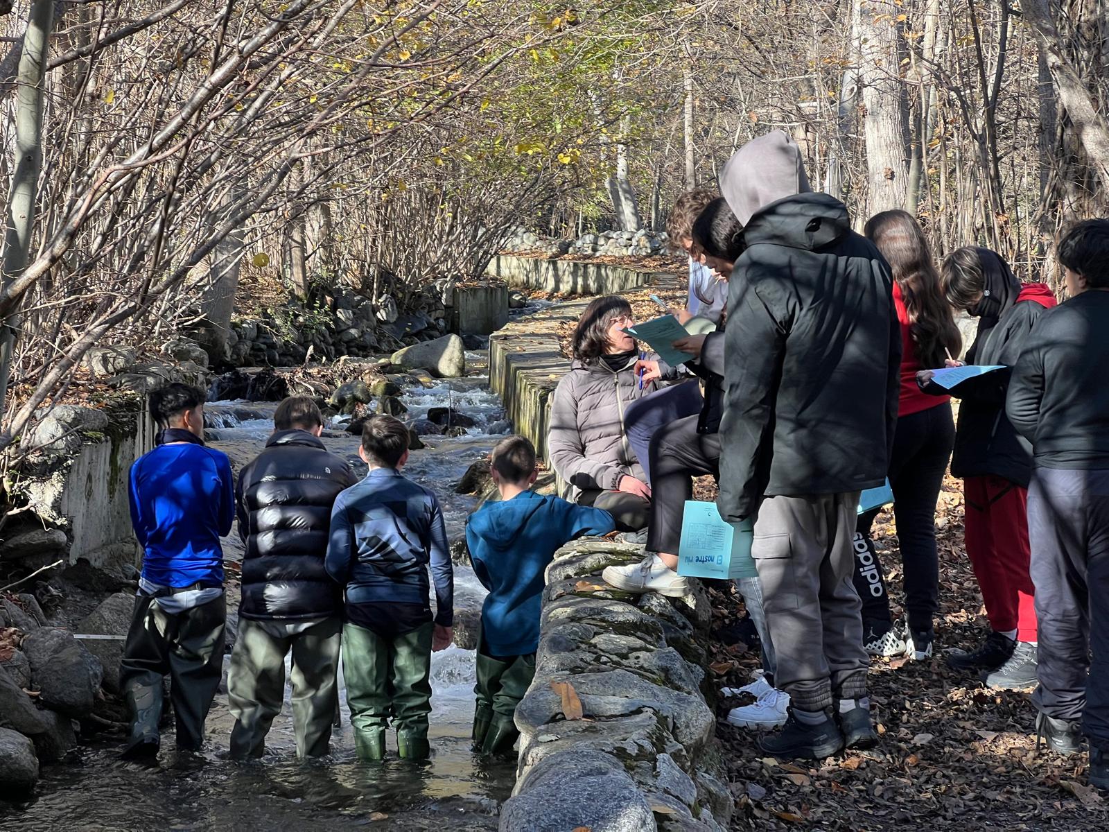 WhatsApp Image 2024-11-15 at 21.29.34 (4)