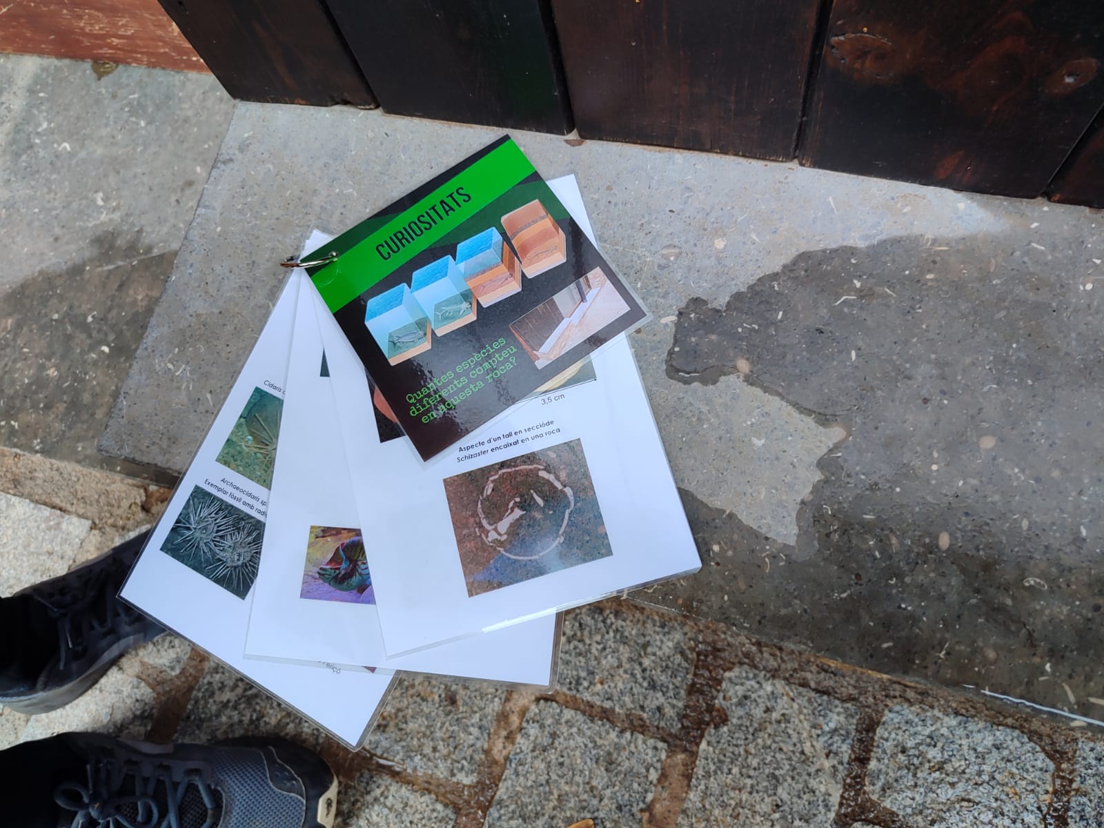 WhatsApp Image 2024-11-26 at 13.44.03