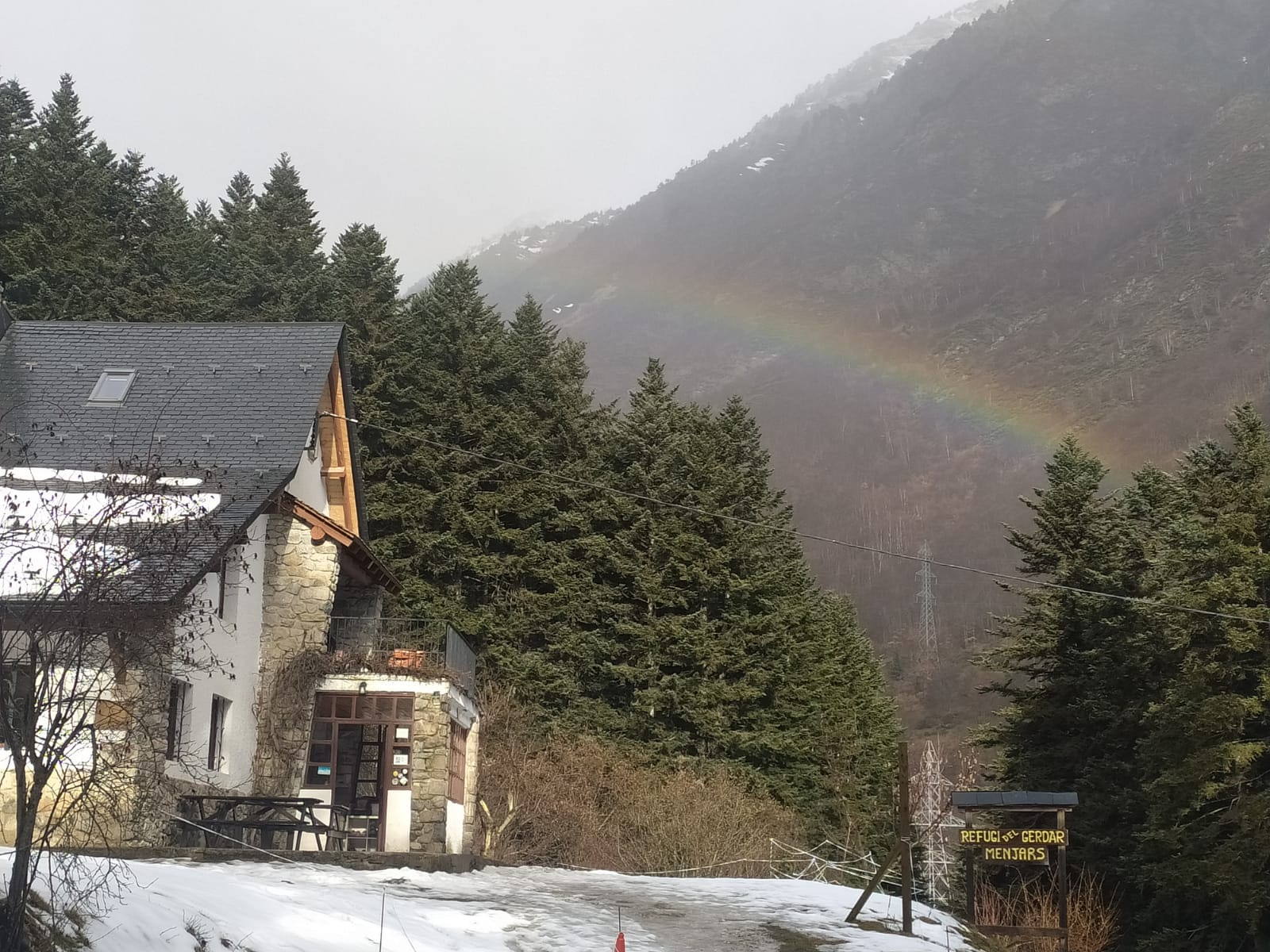 WhatsApp Image 2025-02-14 at 12.48.14