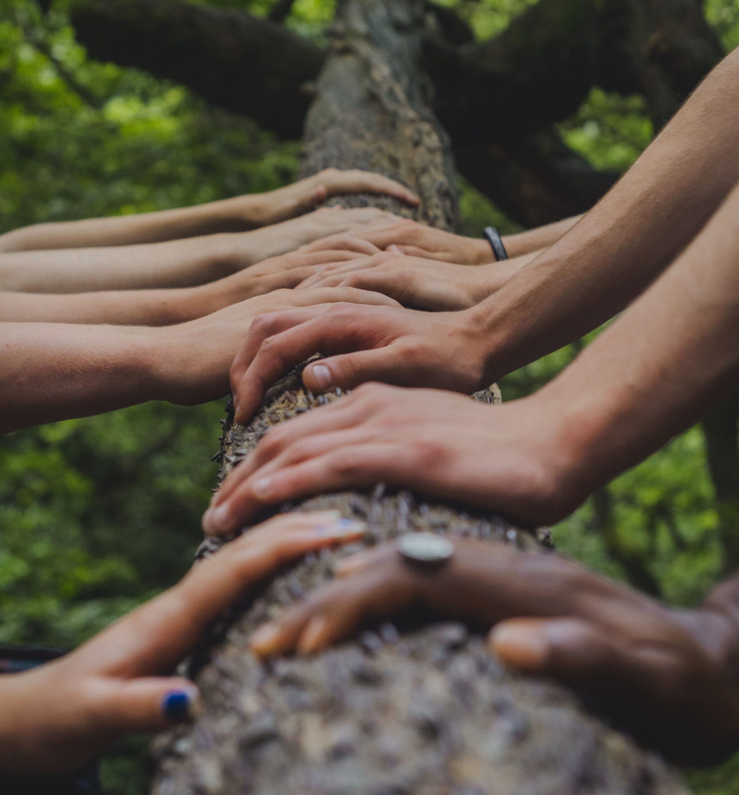 Humanització educativa