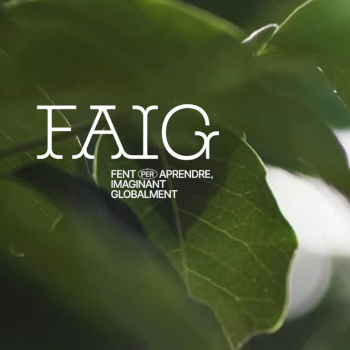 Plataforma de projectes