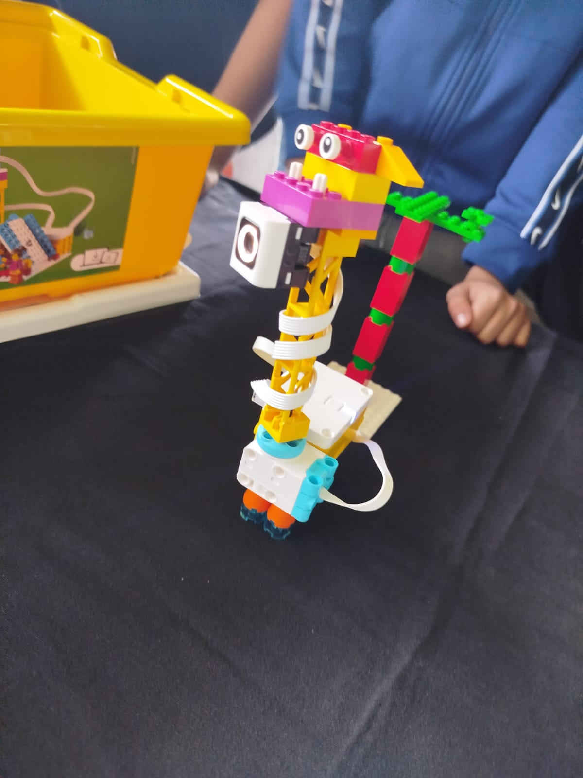 PHOTO-2025-05-22-11-39-34[1]