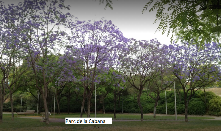 Parc de la Cabana