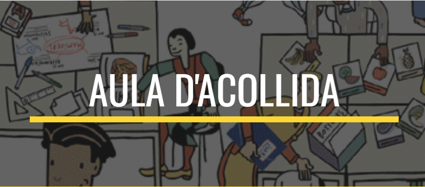 Google Sites d'aula d'acollida