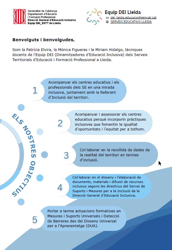 Carta presentació DEI_1