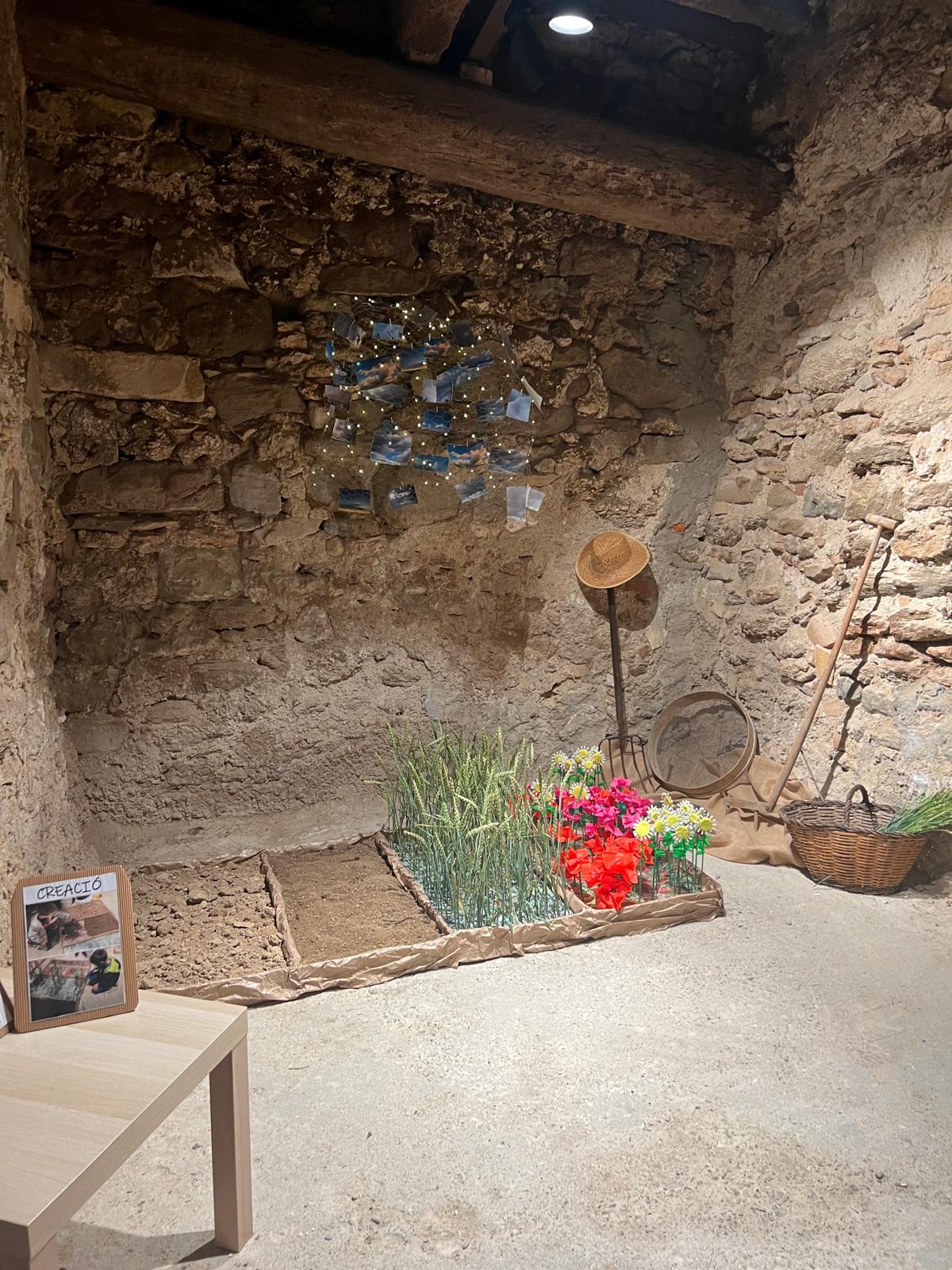 PHOTO-2024-05-14-12-49-06_4