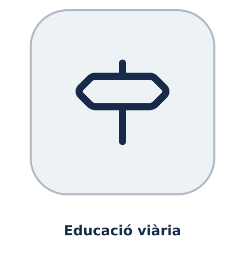 Educació viària