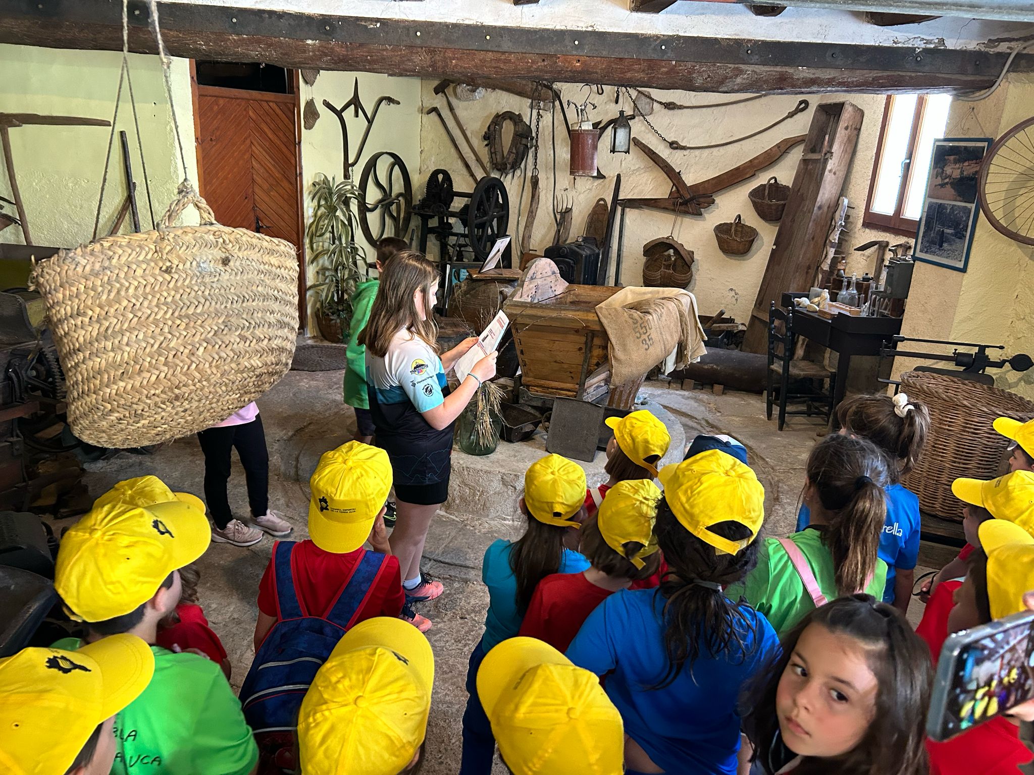 WhatsApp Image 2025-05-28 at 12.09.59