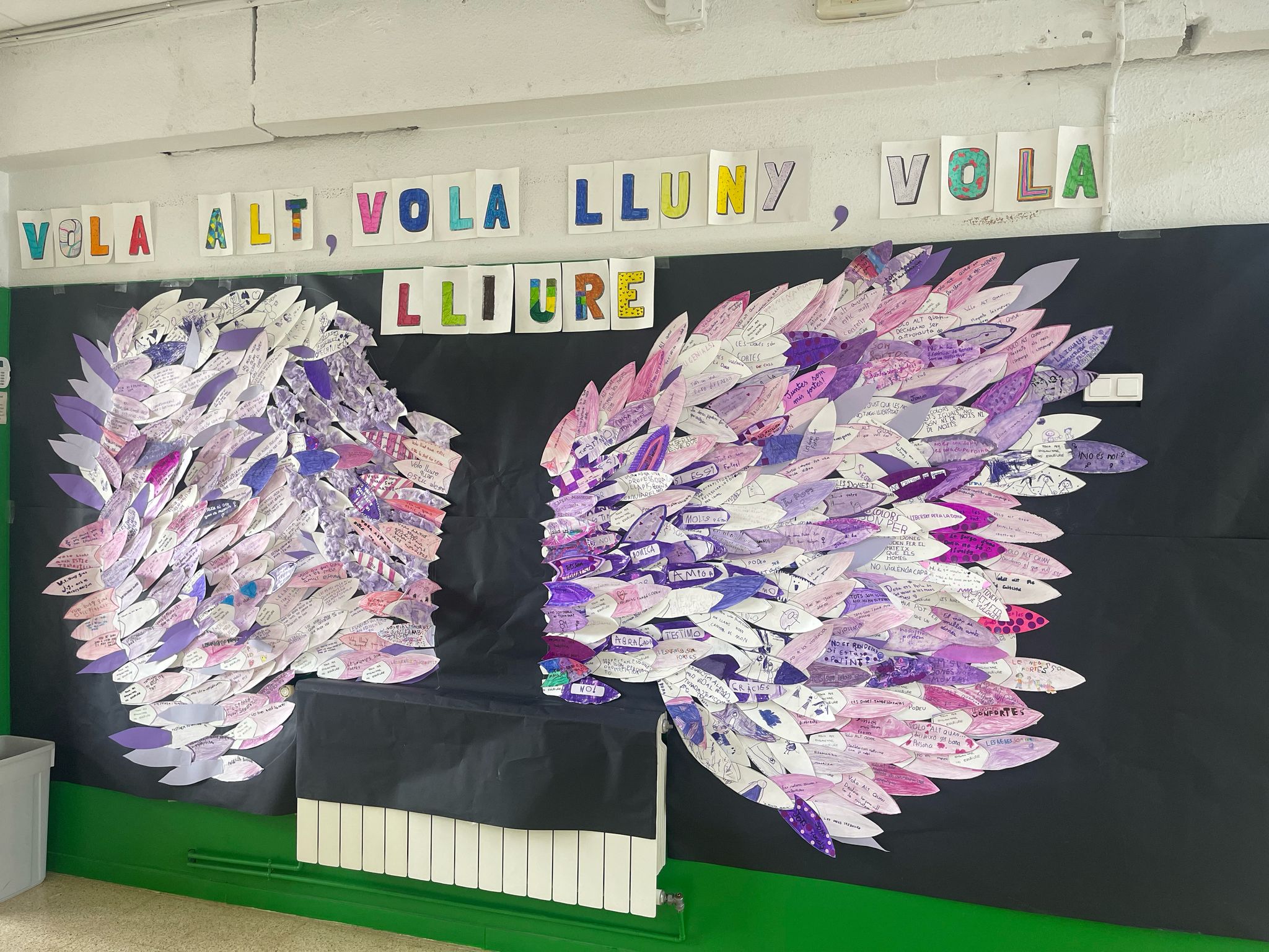 WhatsApp Image 2025-03-11 at 11.09.18 (1)