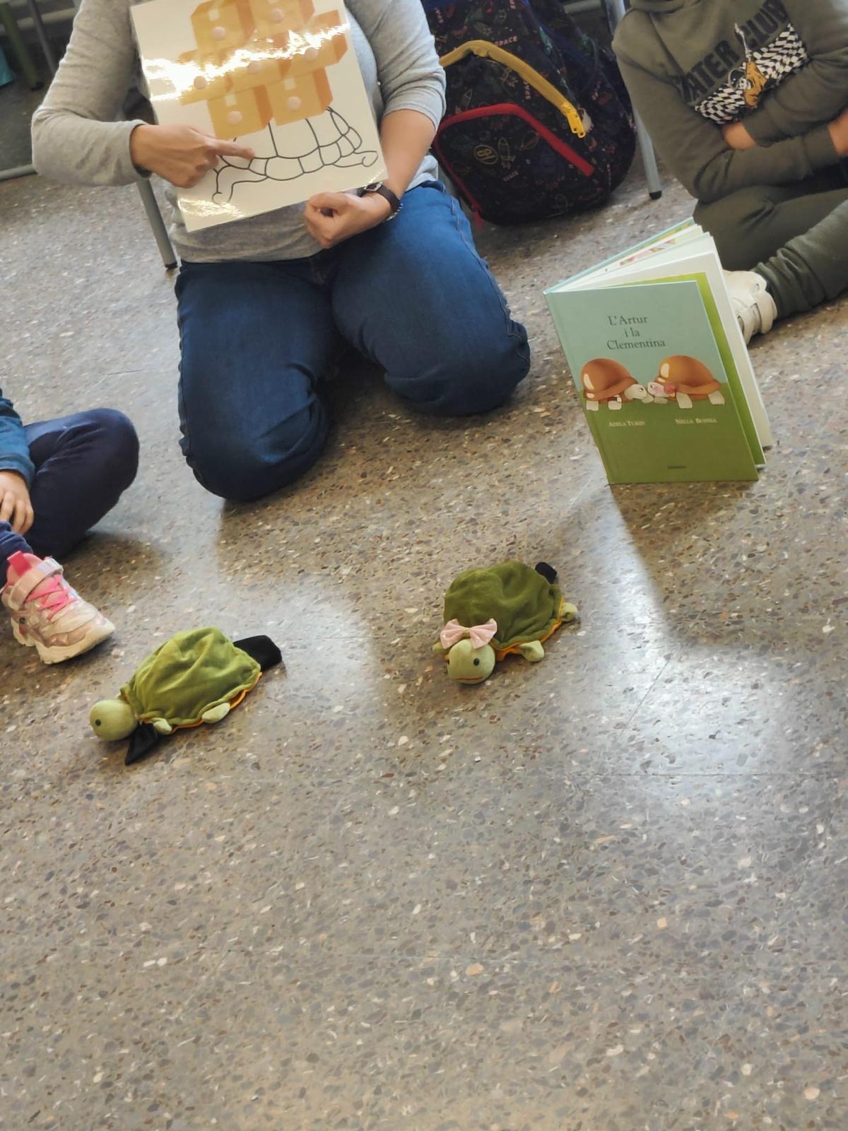 WhatsApp Image 2025-03-11 at 11.09.18