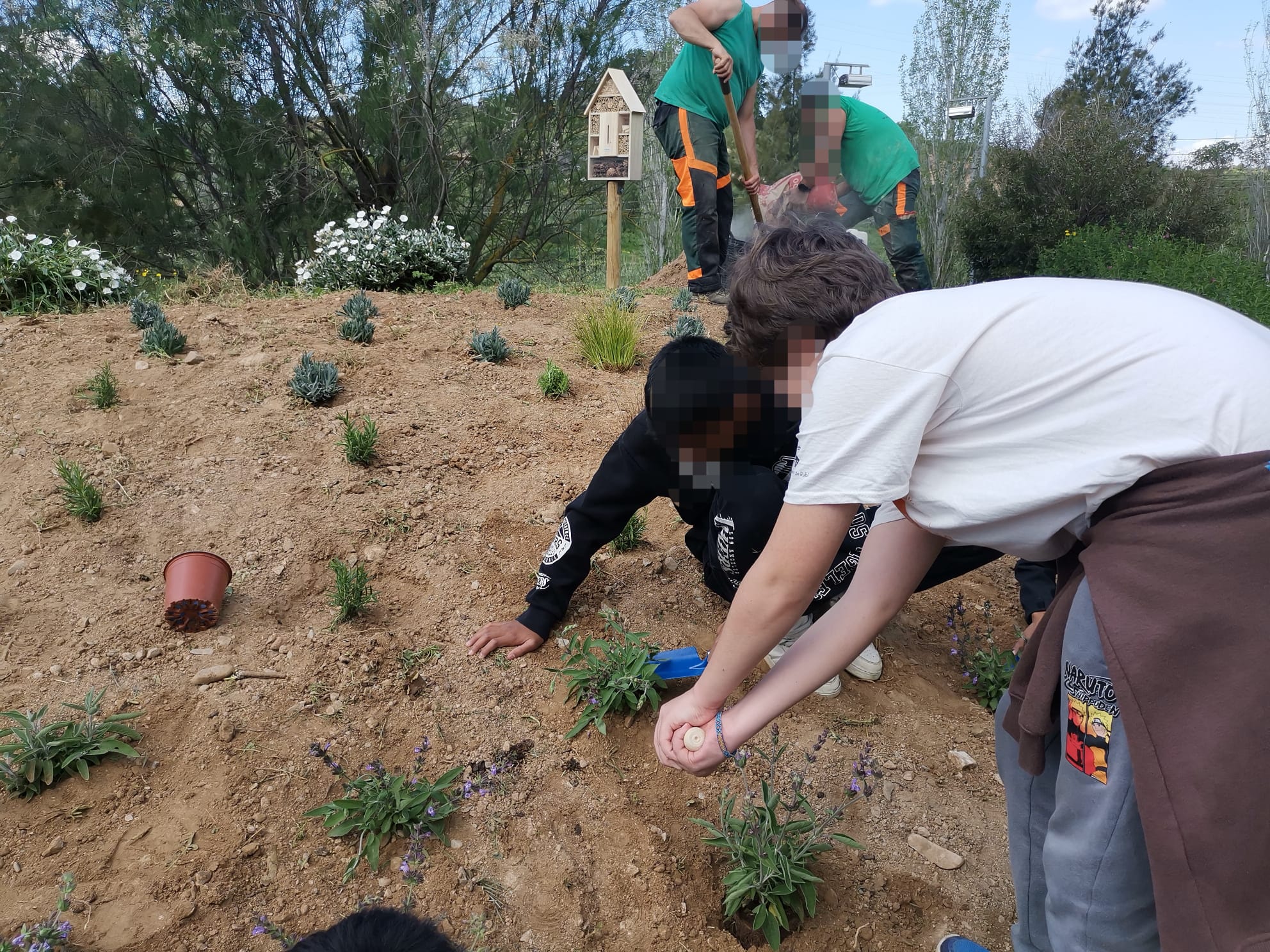 WhatsApp Image 2025-04-24 at 13.53.18