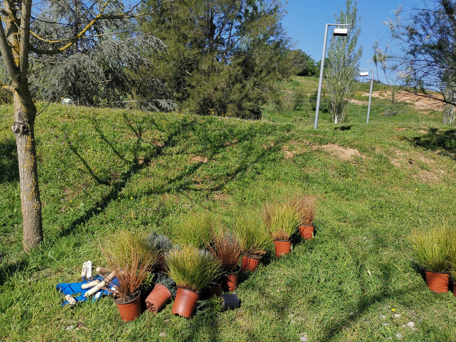 WhatsApp Image 2025-04-24 at 13.53.20 (1)