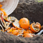 Taller de compostatge