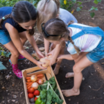 Maleta pedagògica de l’hort a casa