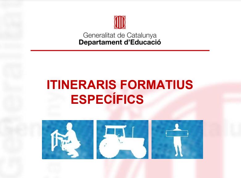 Itineraris Formatius Específics (IFE)