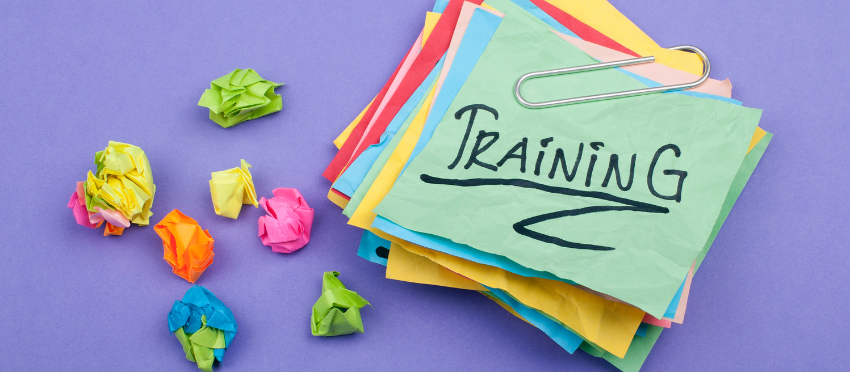 Cursos d’estiu 2023