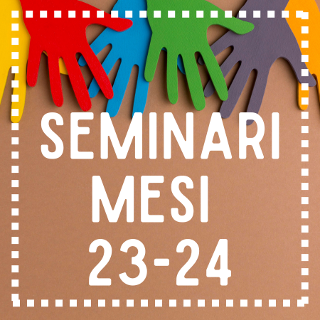 Materials Seminari MESI